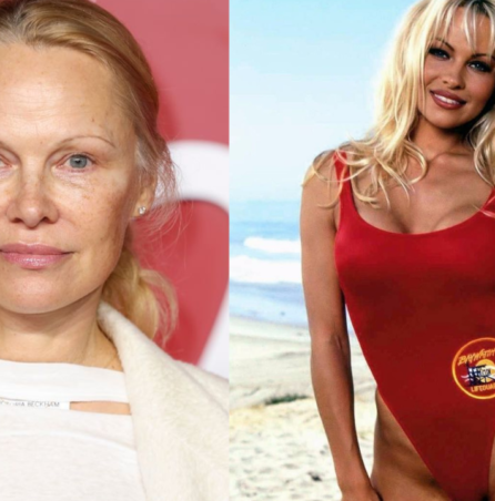pamela anderson then and now