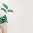 Momentum in Mind: How Micro-Victories Shape Personal Growth