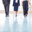 What Flooring Can Teach You About Business Scalability