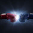 From Ringside to Reality: Tips for Finding a Boxer You’ll Love to Follow
