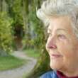 Building Support Systems: A Guide for Families Dealing with Dementia