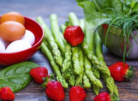 Nutrition Science