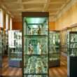 More Than Meets the Eye: The Secret World of Museum Display Cases
