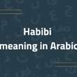 Habibi Meaning and Why do People Say It?