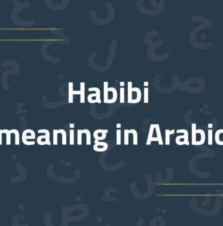Habibi Meaning