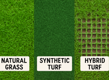 athletic field turf