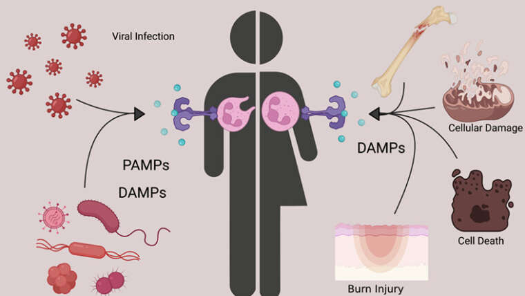 Mapping Cellular Responses to Infections