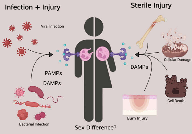 Mapping Cellular Responses to Infections