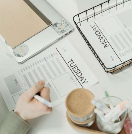 Creating a Lifestyle