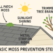 Effective Strategies to Prevent Roof Moss Growth