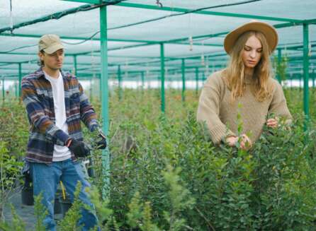 sustainable business practices