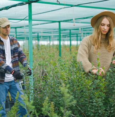 sustainable business practices