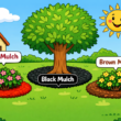 Enhancing Your Landscape with Colored Mulch: Benefits and Considerations